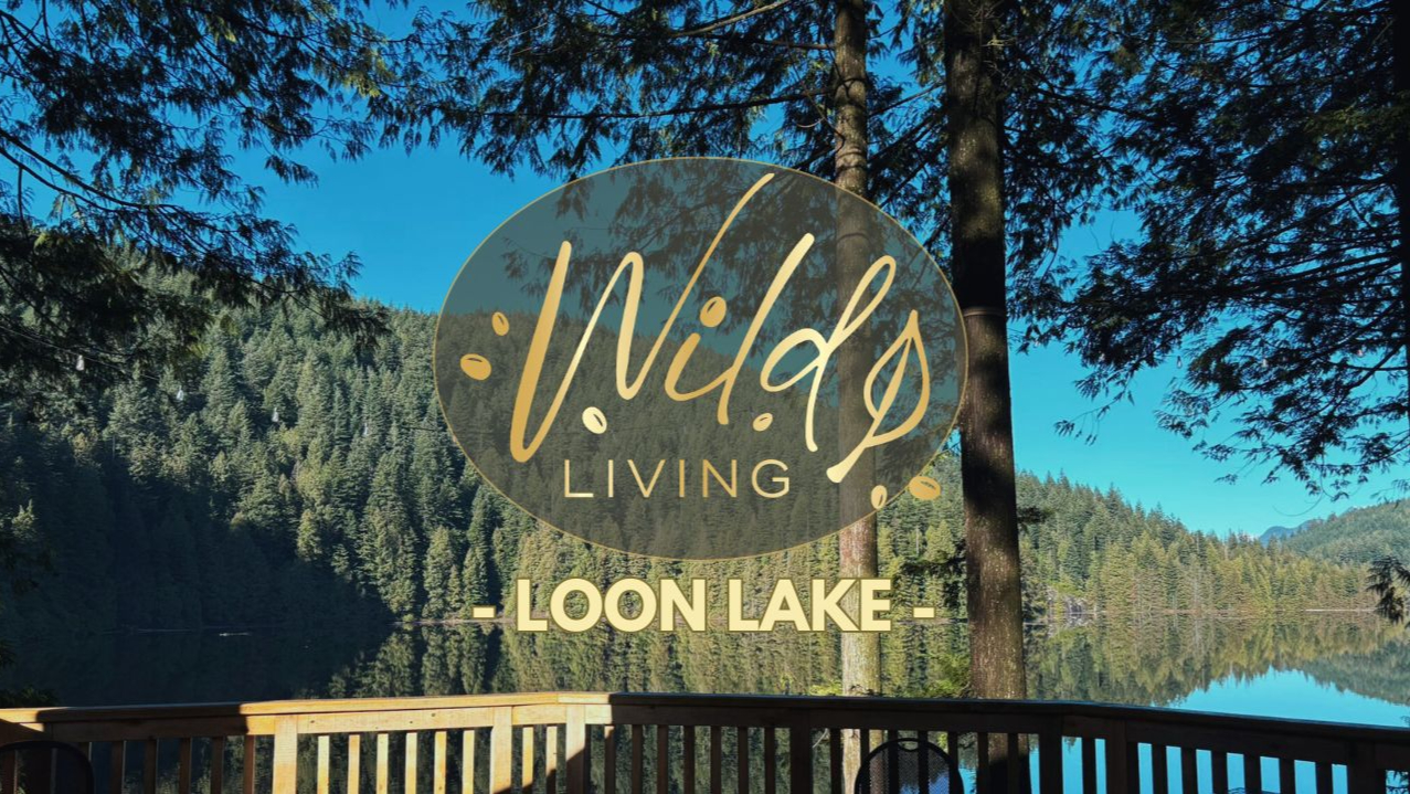 Loon Lake Immersion